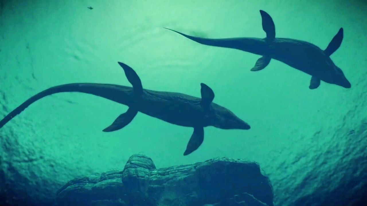 强大的沧龙_86_高光片段