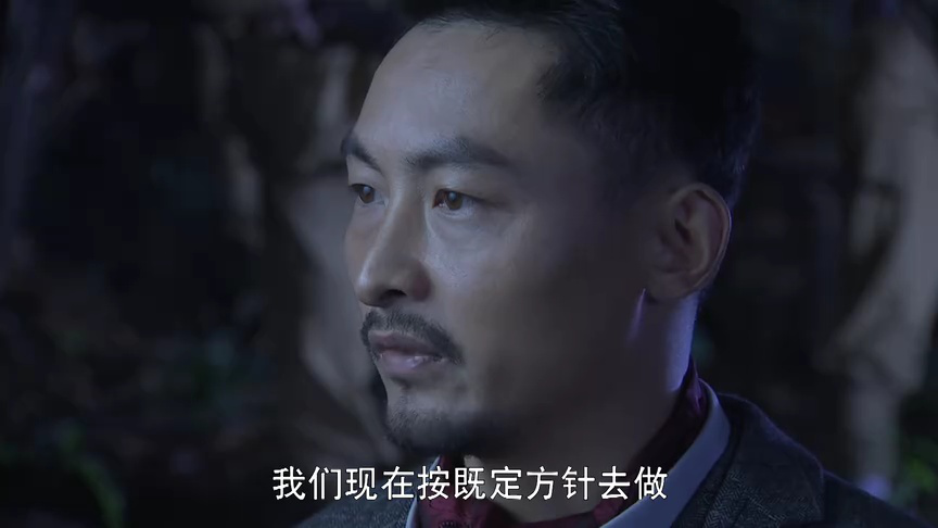 双重任务 24集