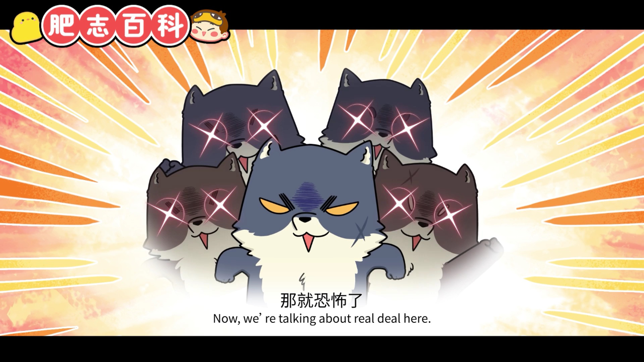 肥志百科第11季 10集