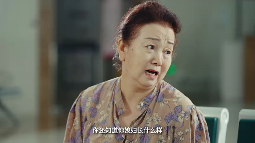 警务室的故事 9集