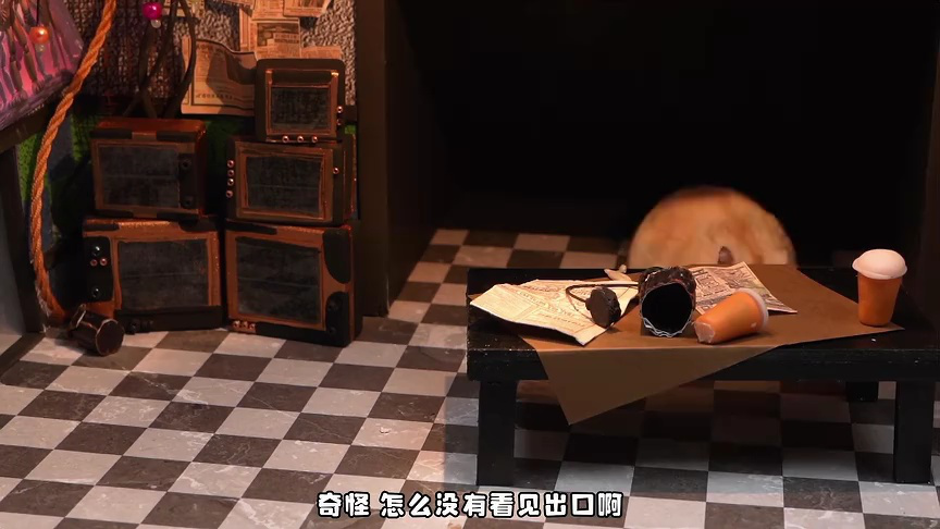 小仓鼠闯关乐园第二季 48集