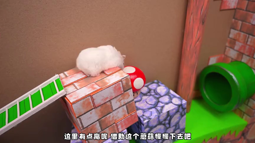 小仓鼠闯关乐园第二季 42集