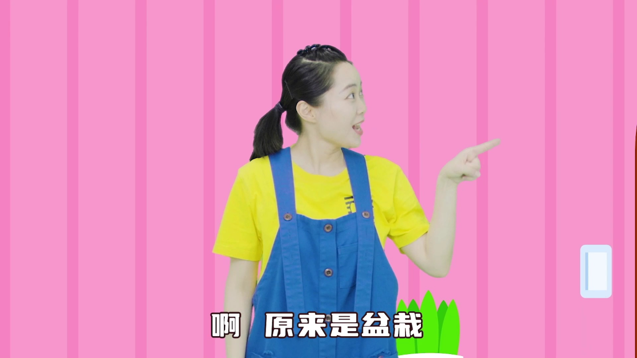 熊猫姐姐 60集