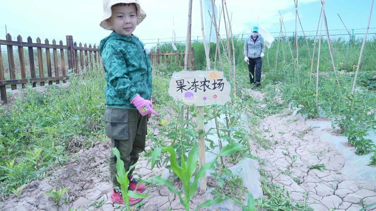 苏菲亚故事 566集