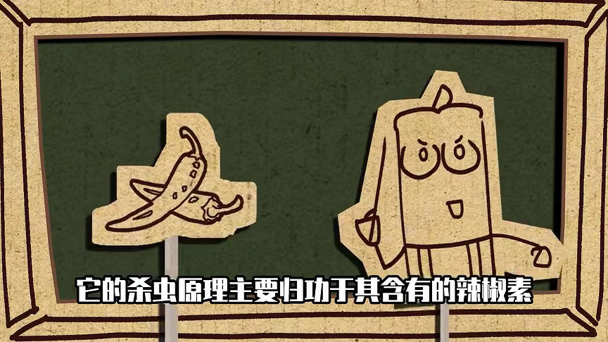 小表弟之杂交植物大作战 193集