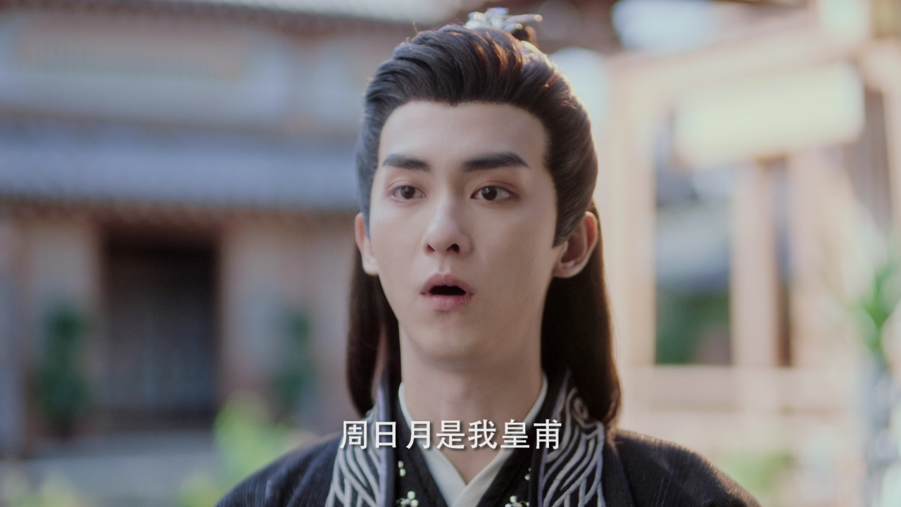 陆昭昭的刺客笔记 13集