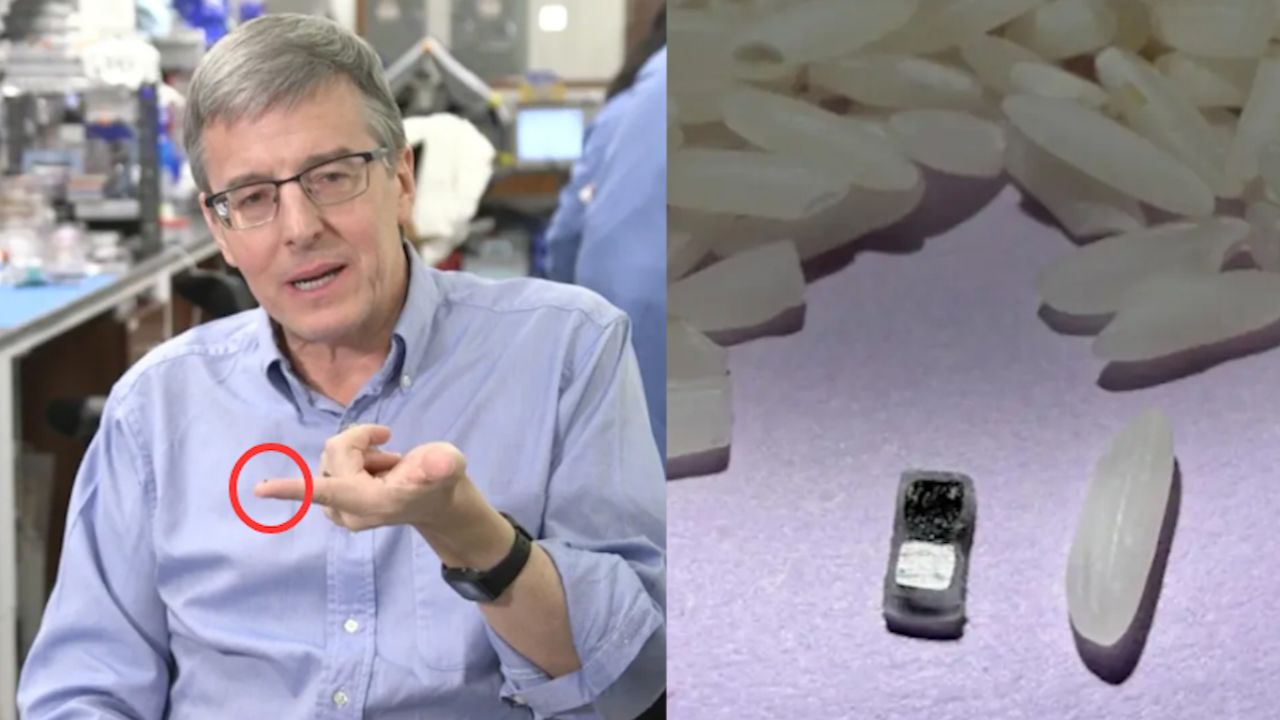 世界最小心脏起搏器问世！比米粒还小、用完可降解-百货之家