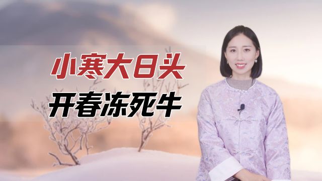 “小寒大日头,开春冻死牛”,今年小寒怎么样?明年会不会很冷呢