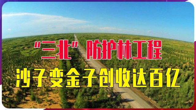 覆盖406.9万土地,“三北”防护林工程,沙子变金子创收达百亿