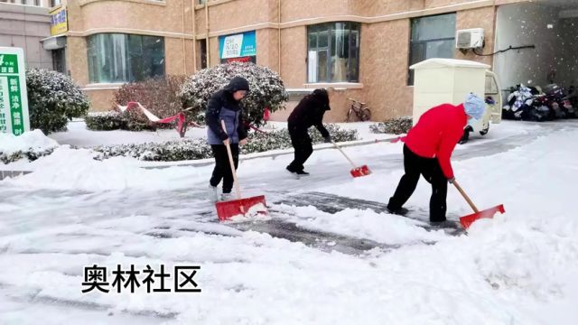 淄博高新区:全民行动 齐心除雪