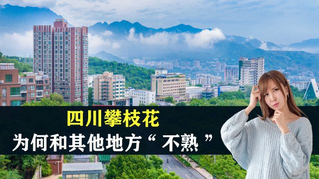 四川攀枝花:天堑之上的长城 ,为什么和其他地方“不熟”