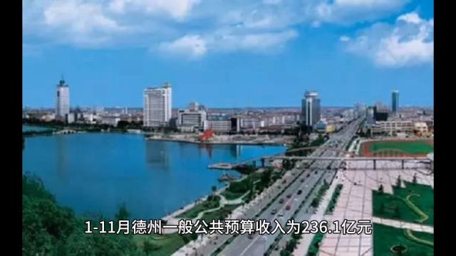 2023年111月德州各地财政收入表现,德城优势扩大,禹城增速出众