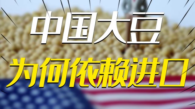 84%来自国外?作为“战略物资”,中国的大豆为何严重依赖国外?新