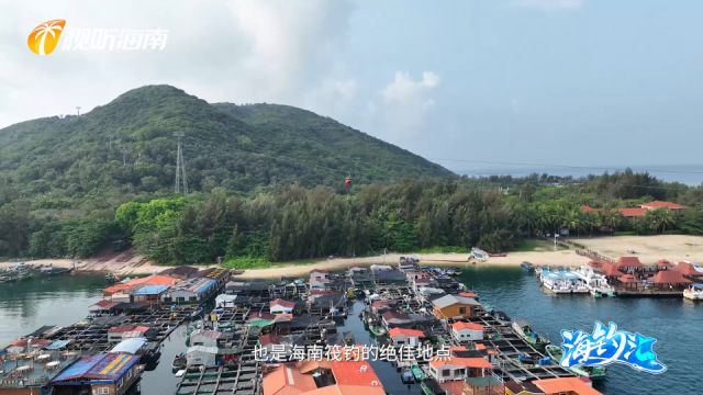 探秘陵水疍家渔排:海钓者的梦幻之旅