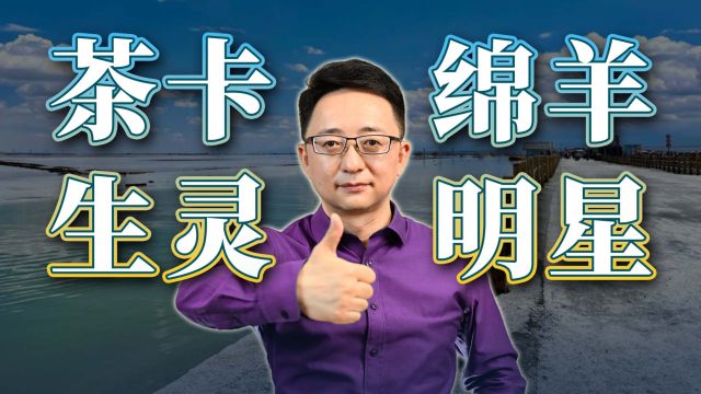 茶卡盐湖 气候物种、风土人情