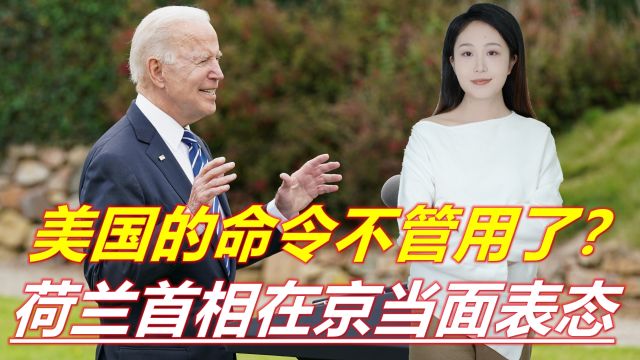 荷兰首相在京当面表态,不跟中国脱钩