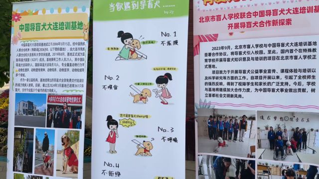 国内首个特殊教育学校导盲犬知识普及与培训项目落地北京市盲人学校