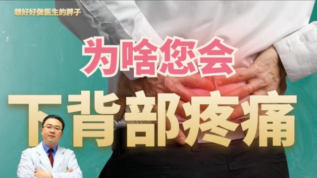 为啥您会腰背部疼痛?医生详解2个常见病因,以及如何自我应对!