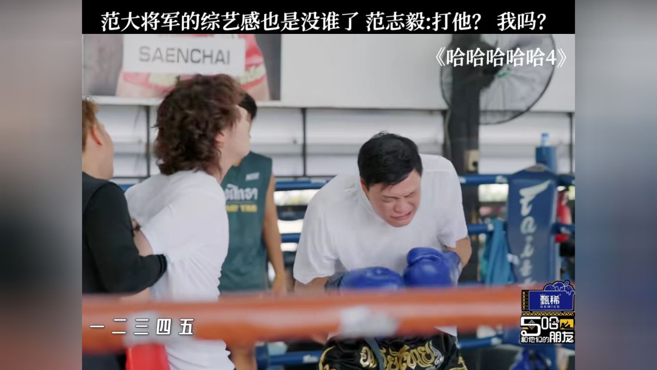 哈哈哈哈哈4:范大将军的综艺感也是没谁了范志毅:打他?我吗#哈哈哈哈哈第4季_高清1080P在线观看平台_腾讯视频