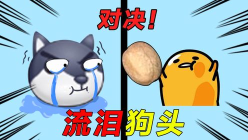 挑战粉丝的狗头!_高清1080P在线观看平台_腾讯视频