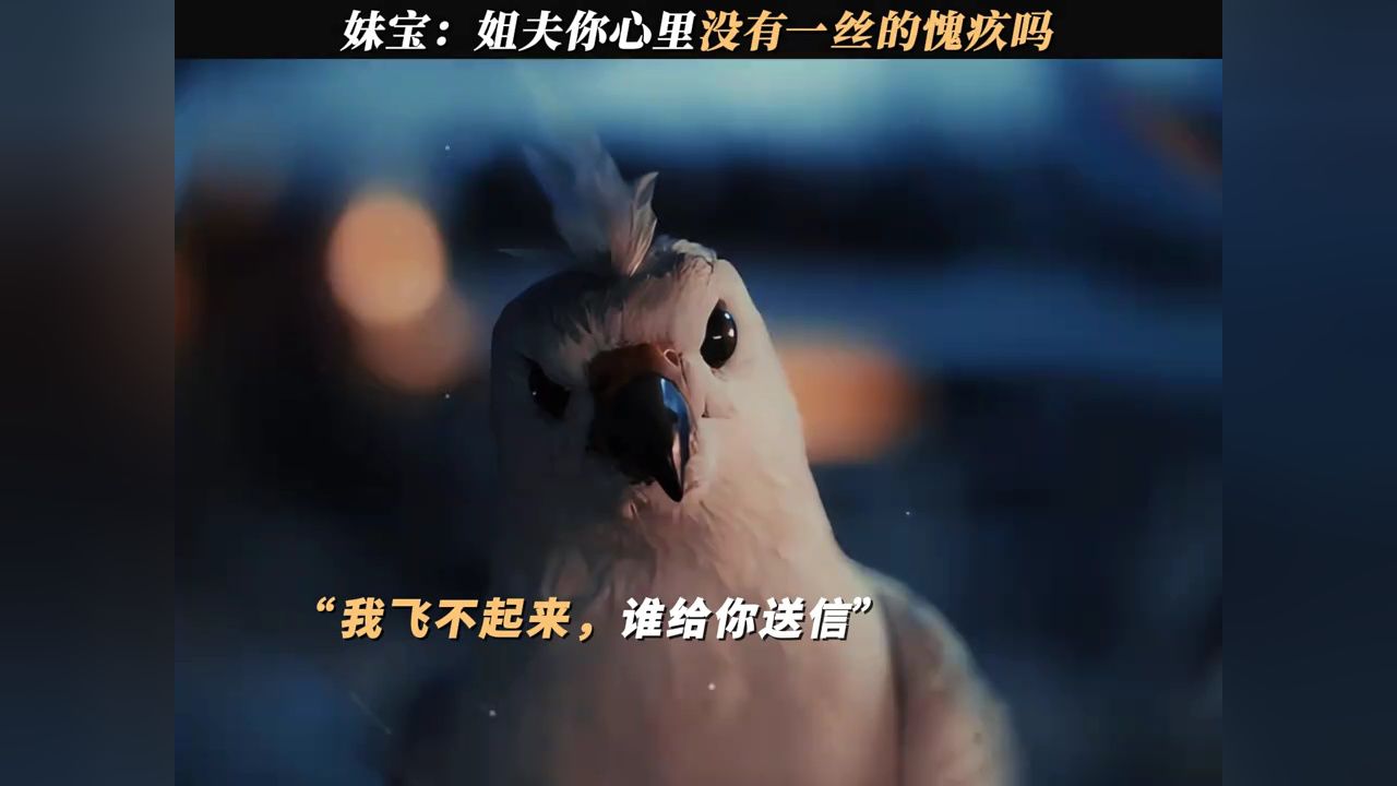 妹宝:姐夫,你心里没有一丝的愧疚吗#逐玉_高清1080P在线观看平台_腾讯视频