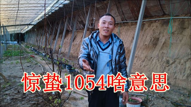 今年惊蛰1054啥意思?人们都不知道,对生活和农业生产影响很大