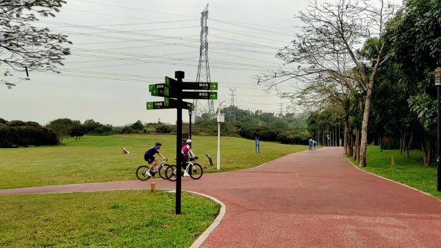 石岩湖绿道,一路美景!