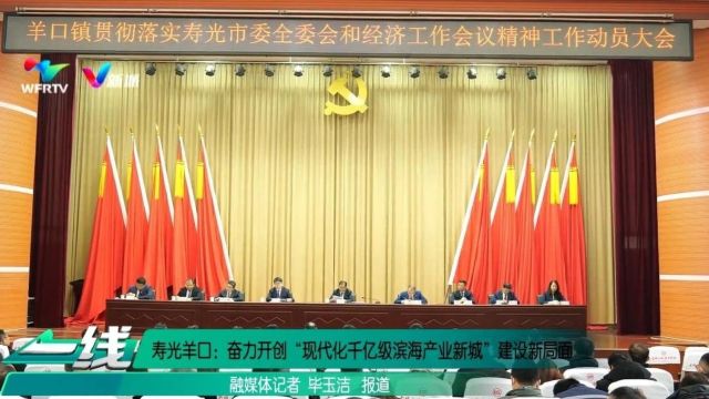 寿光羊口:奋力开创“现代化千亿级滨海产业新城”建设新局面