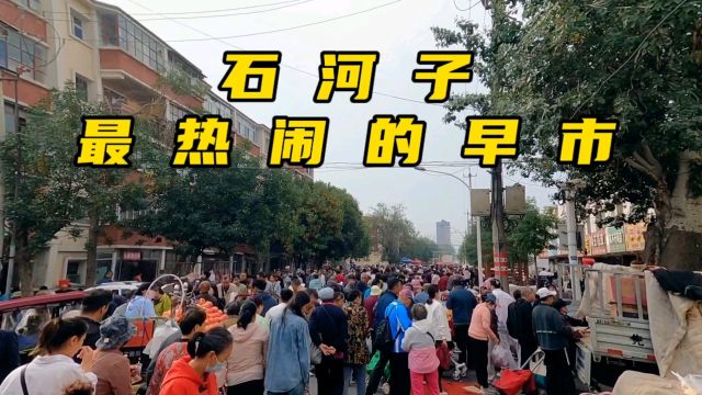 这样的价格够实惠了吗?实拍石河子最热闹早市,人山人海生意火爆