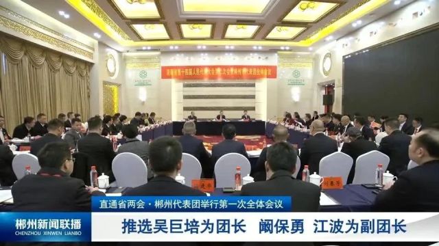 直通省两会:郴州代表团举行第一次全体会议 推选吴巨培为团长 阚保勇 江波为副团长