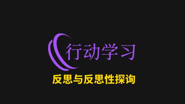 12反思与反思性探询