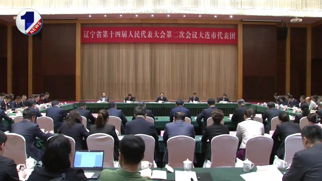 郝鹏参加省十四届人大二次会议大连代表团审议