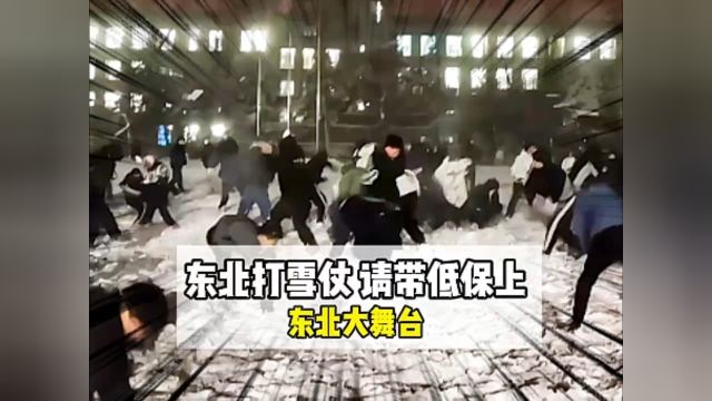 东北打雪仗,请带低保上!