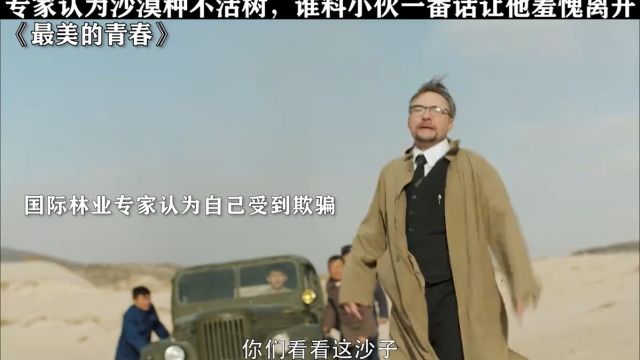 超三代人的努力,不现以沙地成了广海