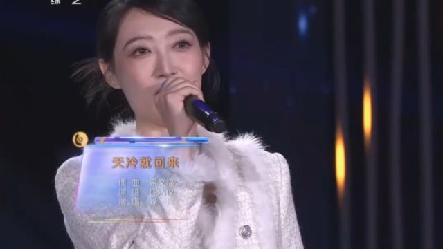 美女献唱歌曲《天冷就回来》,让在外漂泊的游子听完就落泪