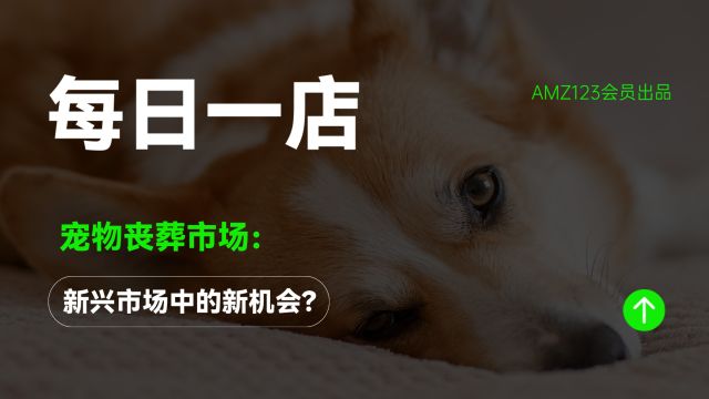 宠物丧葬市场:新兴市场中的新机会?