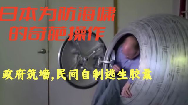 日本沿海,巨资打造的大堤背后,隐藏着怎样的秘密?