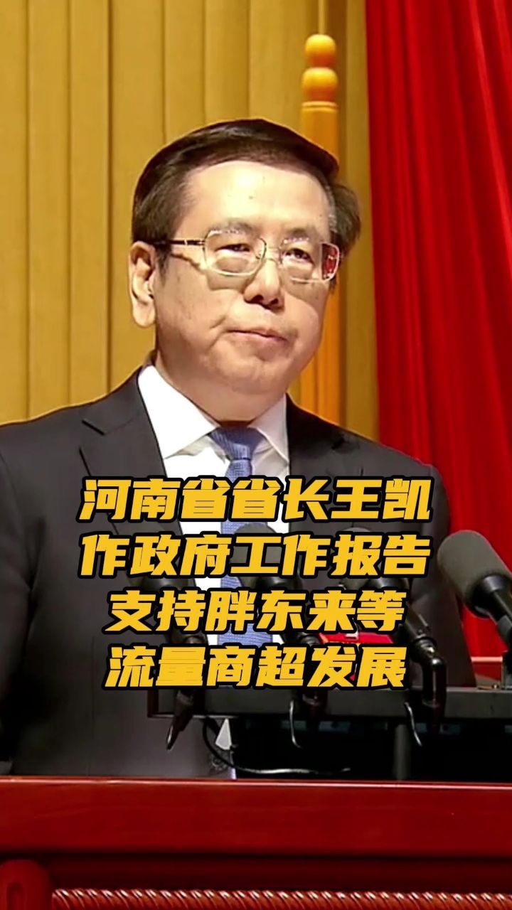 河南省省长王凯作政府工作报告 支持胖东来等流量商超发展