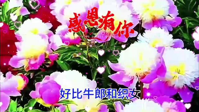 平平安安,健健康康,祝你也祝我!