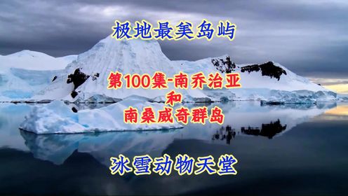 第100集-南乔治亚和南桑威奇群岛：南极权最美海岛，极地动物天堂！#航拍#看世界 #地理知识#美景#治愈系风景 #旅游      