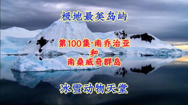 第100集南乔治亚和南桑威奇群岛:南极权最美海岛,极地动物天堂!#航拍#看世界 #地理知识#美景#治愈系风景 #旅游 