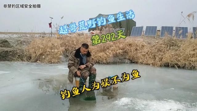 超哥荒野钓鱼生活 第292天 钓鱼人为娱不为鱼 钓鱼快乐钓鱼人才懂 #钓鱼人的快乐只有钓鱼人懂 #记录真实的荒野钓鱼生活