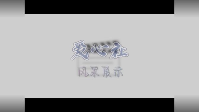 宁波大学科学技术学院爱心社风采展示