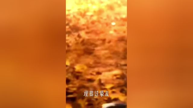 只为家国永安