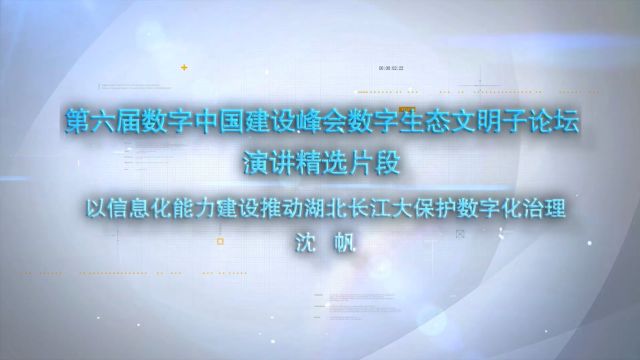 第六届数字中国建设峰会数字生态文明子论坛演讲:以信息化能力建设推动湖北长江大保护数字化治理