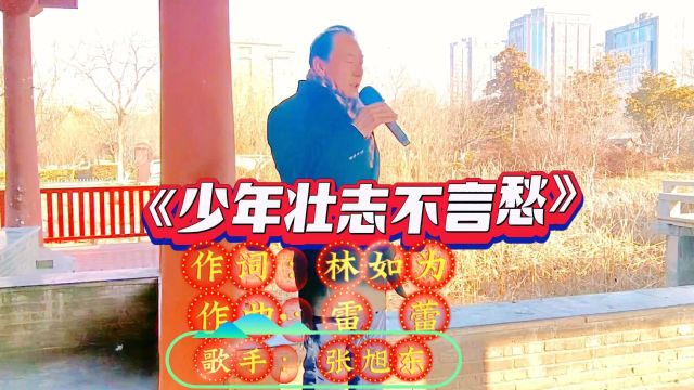 张旭东演唱《少年壮志不言愁》金色盾牌热血铸就,危难之处显身手,显身手