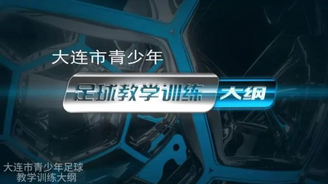 《大连市青少年足球教学训练大纲》推广普及系列之二——足球从娃娃抓起