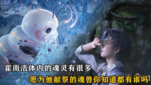 《绝世唐门》霍雨浩身上很多的魂灵生前都是强大的魂兽,有那几个魂兽为霍雨浩自行献祭了呢?他们的结局都是好的吗?_动漫_高清完整版视频在线观看_腾讯视频