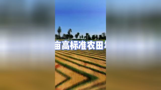 农业农村部:全力完成1亿亩高标准农田年度建设任务