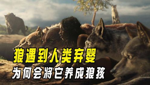 狼遇到人类弃婴，为何不会当作食物吃掉，而是将它养成狼孩呢？_高清1080P在线观看平台_腾讯视频